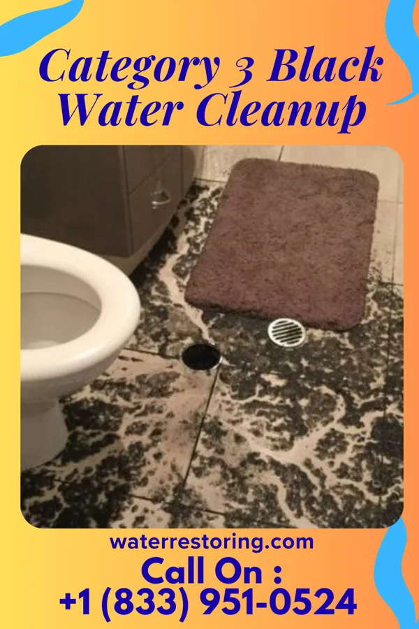 Category 3 Black Water Cleanup in Homewood, SC